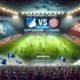 Pertandingan Hoffenheim vs Mainz Duel Sengit Bundesliga